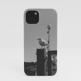 Chilled out Seagull iPhone Case
