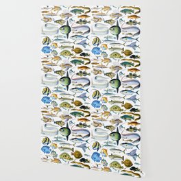 Adolphe Millot "Fishes" 1. Wallpaper