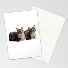 Two Cute Cat Loaves Stationery Cards