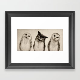 The Owl's 3 Gerahmter Kunstdruck