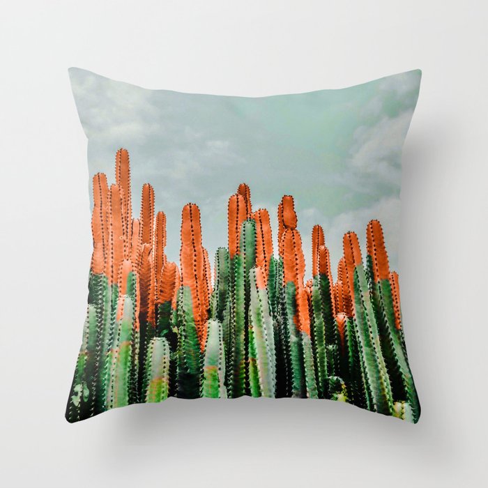 Throw Pillow