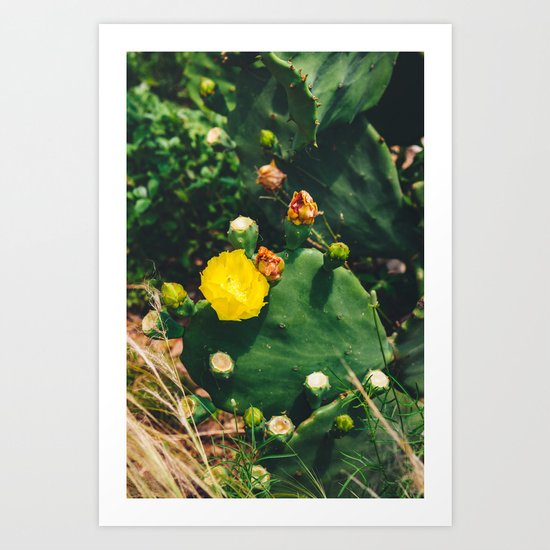 Gimme All Your Love Art Print