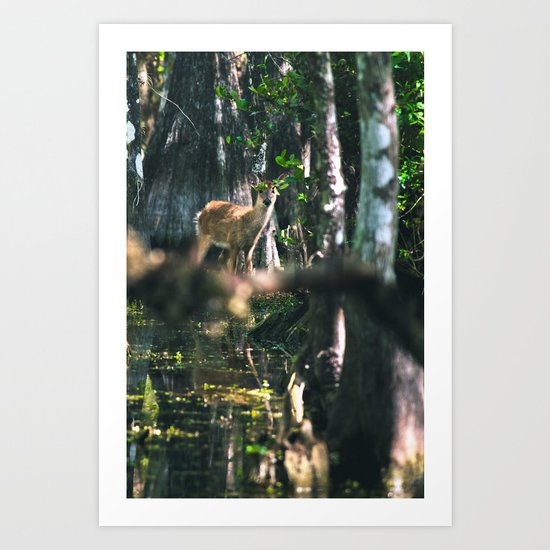 Forest Fawn Art Print