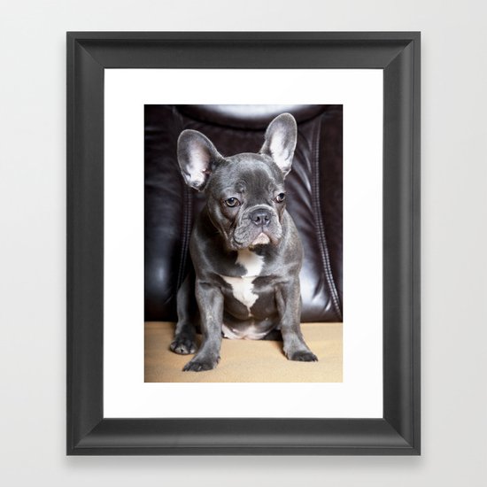 French Bulldog Framed Art Print