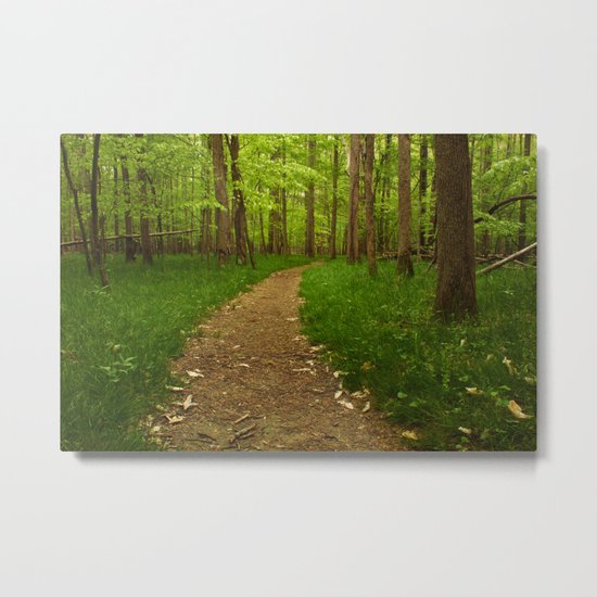 Walk in the Woods II Metal Print