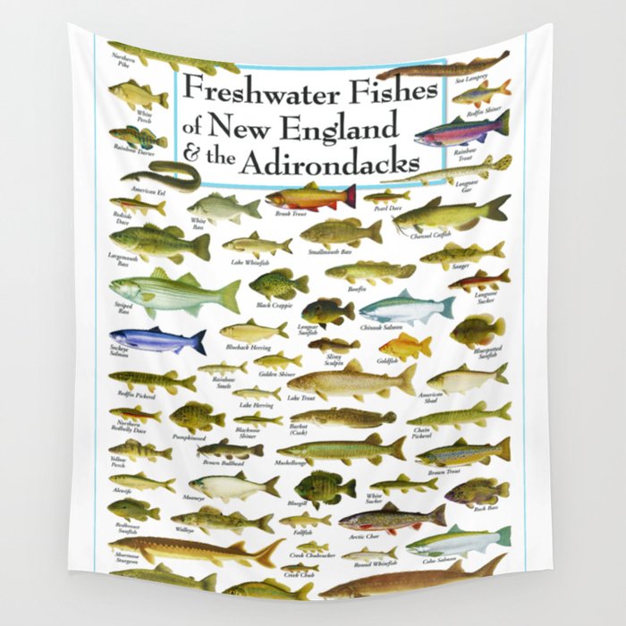 Illustrated New England and  Adirondacks Game Fish Identification Chart Wall Tapestry