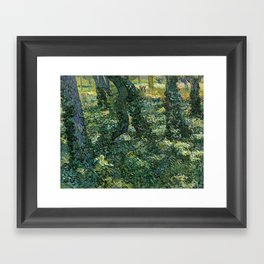 Vincent van Gogh , Undergrowth , 1889 Framed Art Print