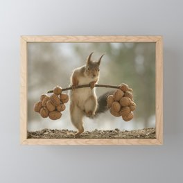 Squirrel the nut carrier Framed Mini Art Print