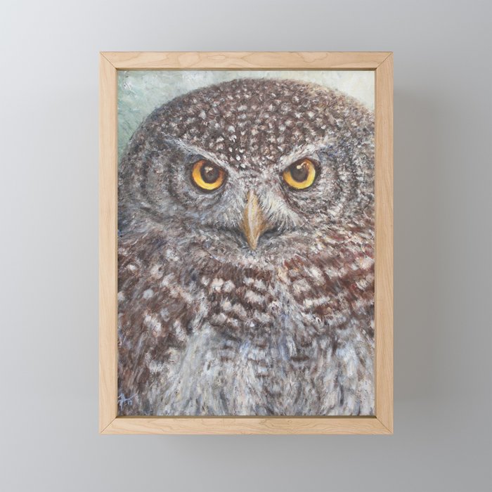 Eurasian Pygmy Owl Framed Mini Art Print