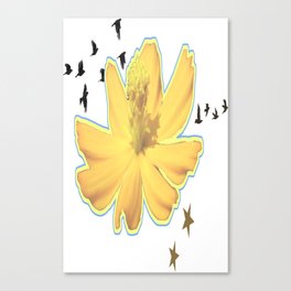 yellow flower Canvas Print
