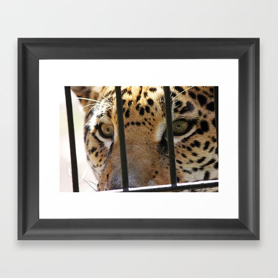 Hungry Eyes Framed Art Print