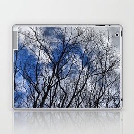 January Skies Laptop & iPad Skin