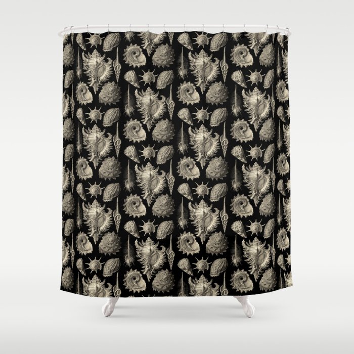 Ernst Haeckel Prosobranchia Sea Shells Shower Curtain By