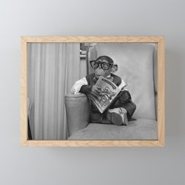 Dad on a Good Day - Chimpanzee Father reading the New York Times black and white photograph Framed Mini Art Print