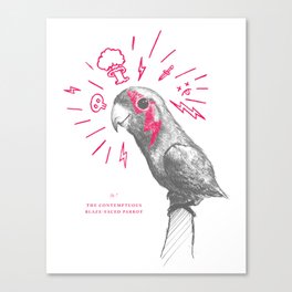 Contemptuous parrot Canvas Print