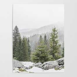 Winter Forest Landscape  Poster