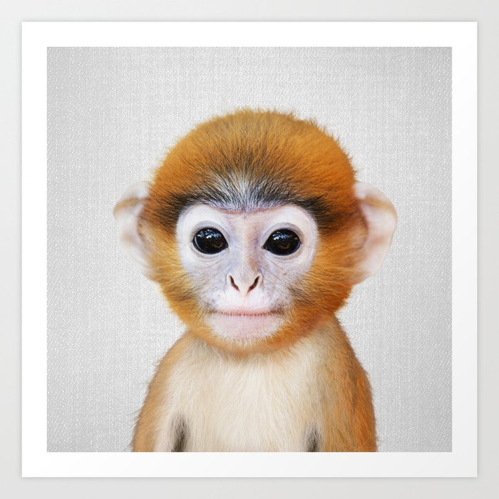 Baby Monkey - Colorful Kunstdrucke Baby Monkey - Colorful Kunstdrucke