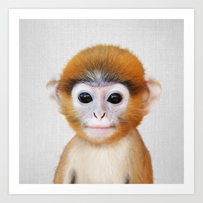 Baby Monkey - Colorful Art Print