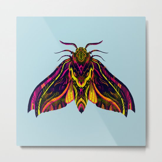 Elephant Hawk Moth Metal Print