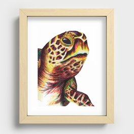 Pen drawing turtle Recessed Framed Print