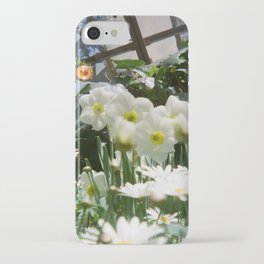 Daffodils  iPhone Case