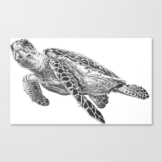 Sea Turtle Canvas Print