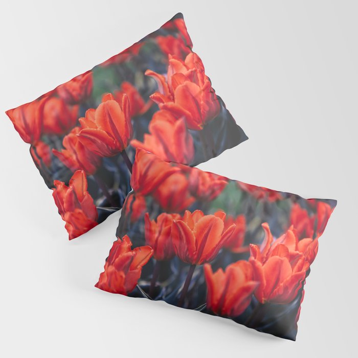 Flowers in the Park  Pillow Sham