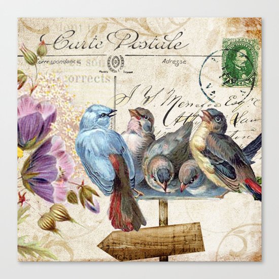 Sweet bird #3 Canvas Print