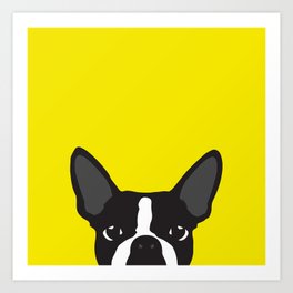 Boston Terrier Yellow Art Print