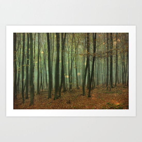 miraculous woods Art Print