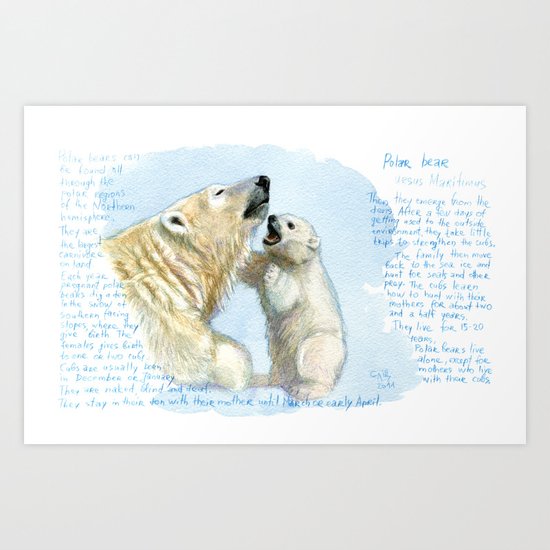 Polar bears A0086 Art Print