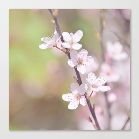 Fairytale Cherry Blossom Canvas Print