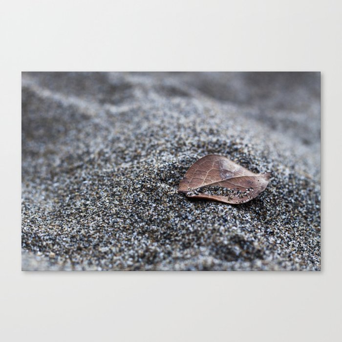 Leaf in the Sand Canvas Print