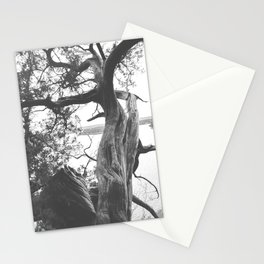 Twist of time Stationery Cards