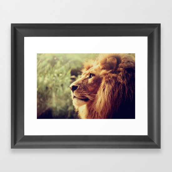 Lion Framed Art Print