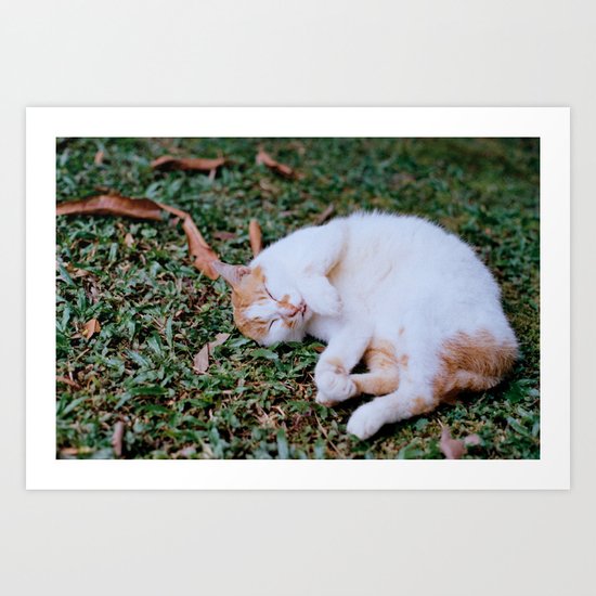Sleepy Cat Art Print