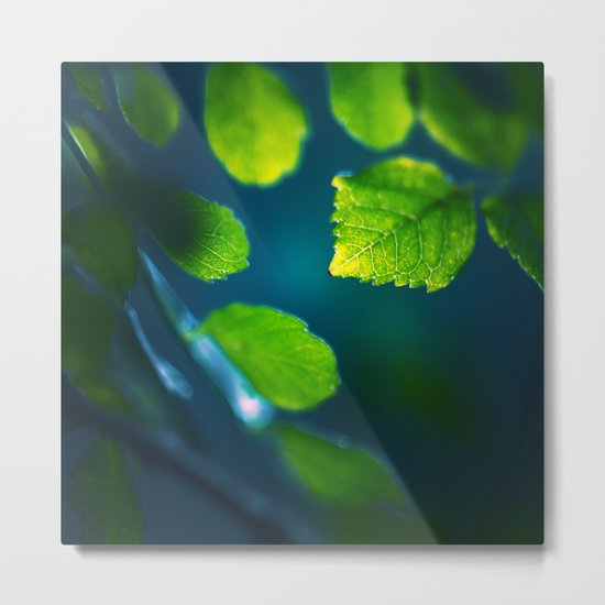 Nature Blues Metal Print