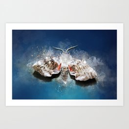 Poplar hawk-moth Art Print