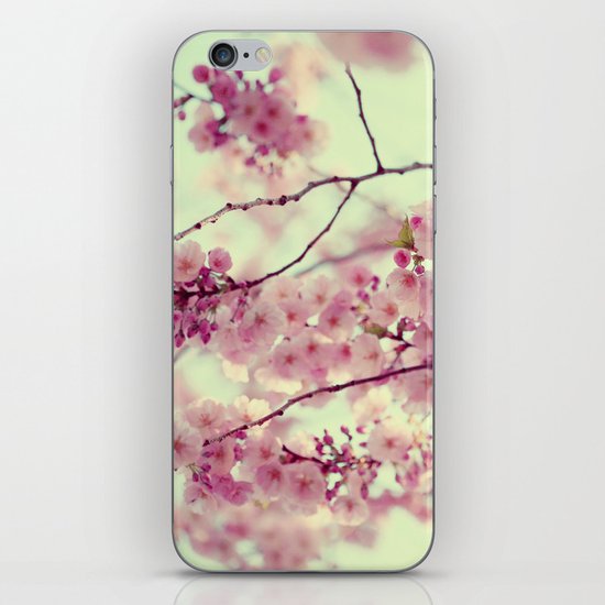 Carry On iPhone & iPod Skin