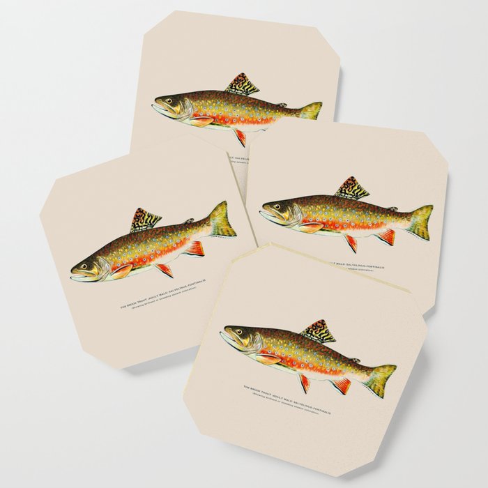 Brook Trout Coaster