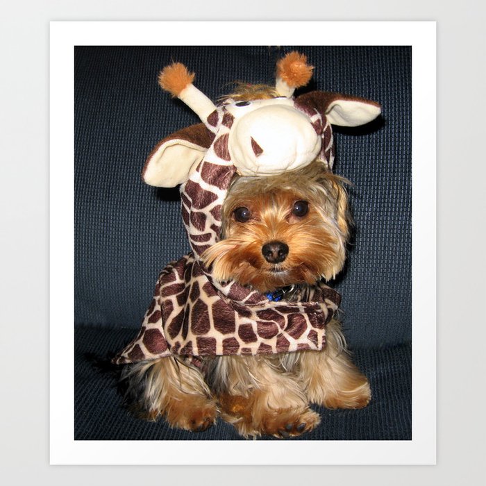 Yorkie Puppy Dogs Sweet Giraffe Costume Yorkshire Terrier