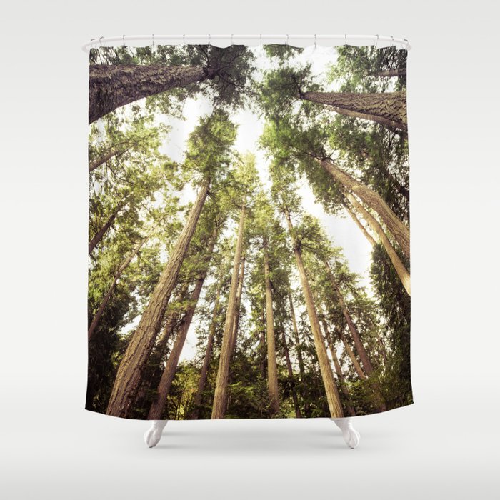 The Canopy Shower Curtain