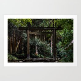 Torii in the forest (japan) Art Print