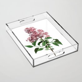 Vintage Chinese Lilac Botanical Illustration on Pure White Acrylic Tray