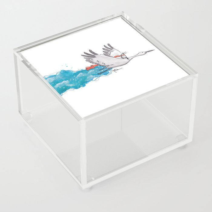 Kiwi y cisne Acrylic Box