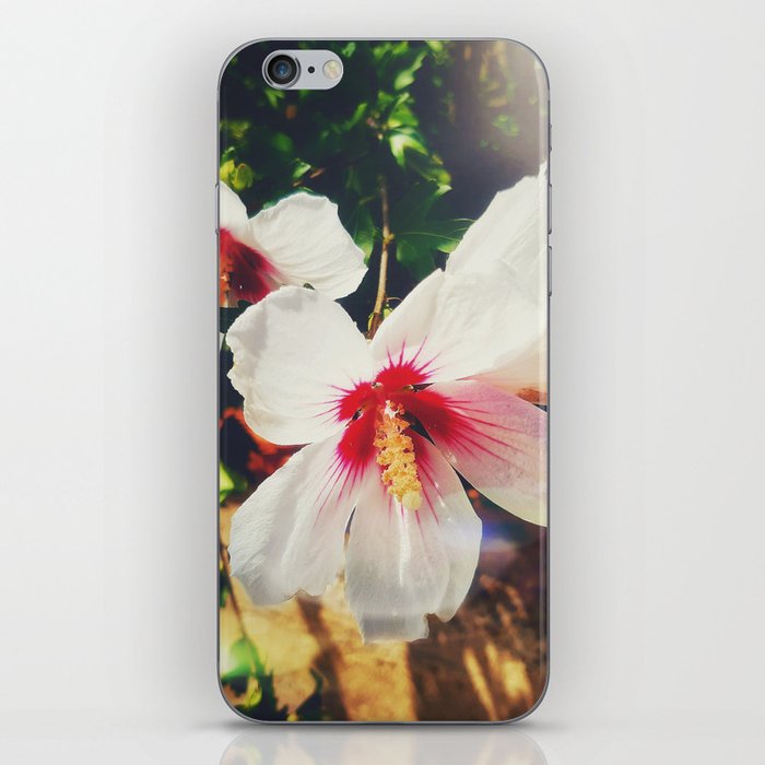 Tropical flower cayenne iPhone Skin