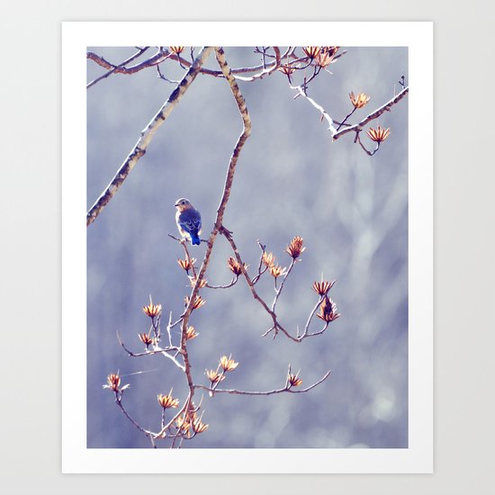 A Bluebird for Isabelle Art Print