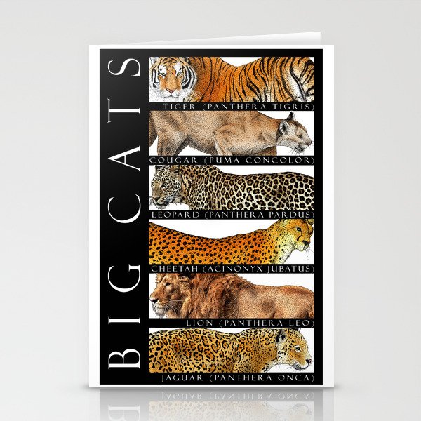 Big Cats Of The World Stationery Cards By Wildlife Art Society6