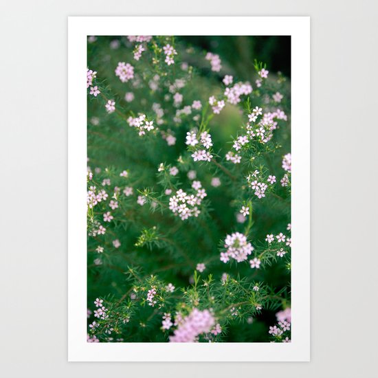 Mystery Art Print