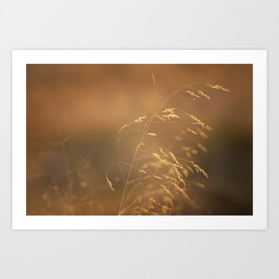 The sounds of the wind Art Print